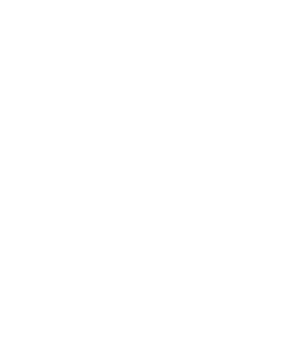 渡